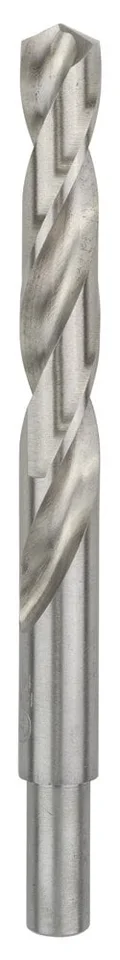 Bosch HSS-G Metal Matkap Ucu 15*169 mm (4 Adet)