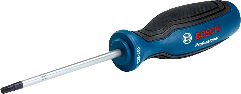 Bosch Profesyonel Torx Tornavida TX25X100mm